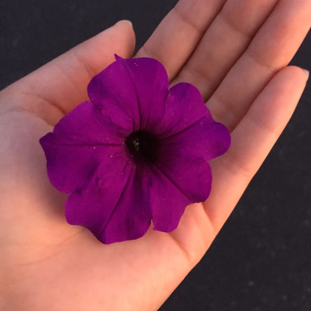 Meet your Posher, Maria